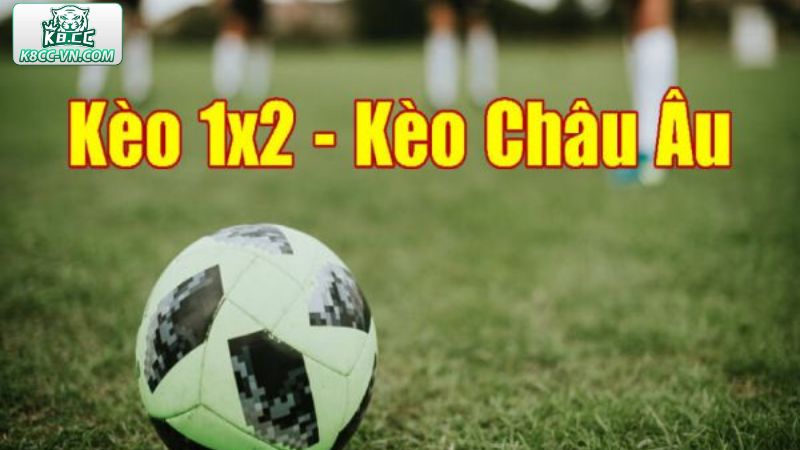 Cách Đọc Kèo Bóng Đá Dễ Hiểu Dành Cho Tân Cược Thủ K8CC  3 Hướng dẫn đọc kèo châu Âu trong tích tắc