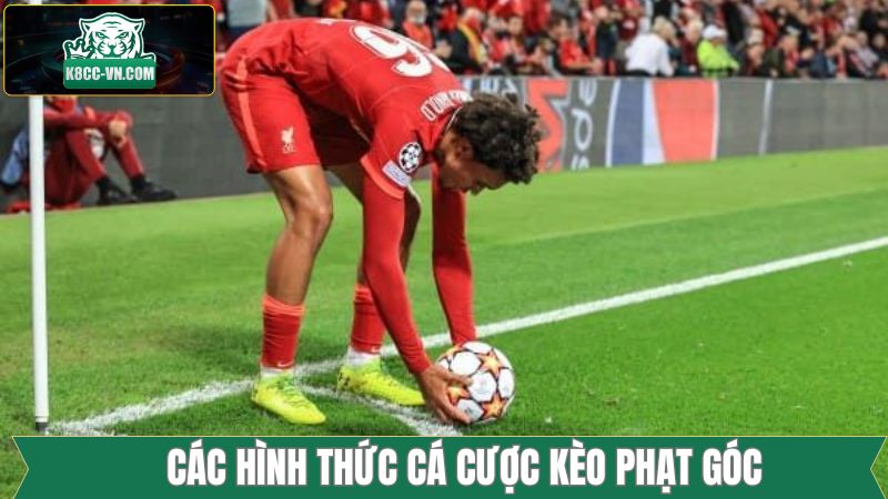 Kèo Phạt Góc - Lựa Chọn Phổ Biến Trong Cá Độ Bóng Đá  3 Kèo Tài Xỉu Corner phổ biến tại K8cc