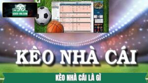 Kèo Nhà Cái Là Gì? Tập Hợp Những Tỷ Lệ Phổ Biến Từ K8CC 38 Kèo Nhà Cái Là Gì? Tập Hợp Những Tỷ Lệ Phổ Biến Từ K8CC
